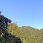 reserva andigena avistamiento de aves en nariño