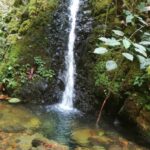 reservaandigena senderismo en ricaurte nariño