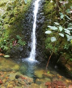 reservaandigena senderismo en ricaurte nariño